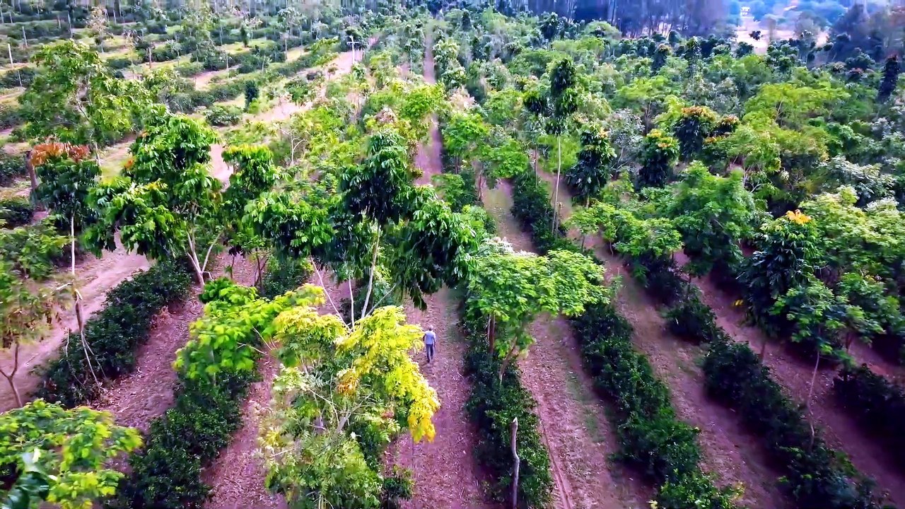 Groundswell Documentary Movie
