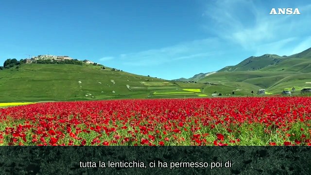 Castelluccio di Norcia, lo spettacolo dei colori della fioritura