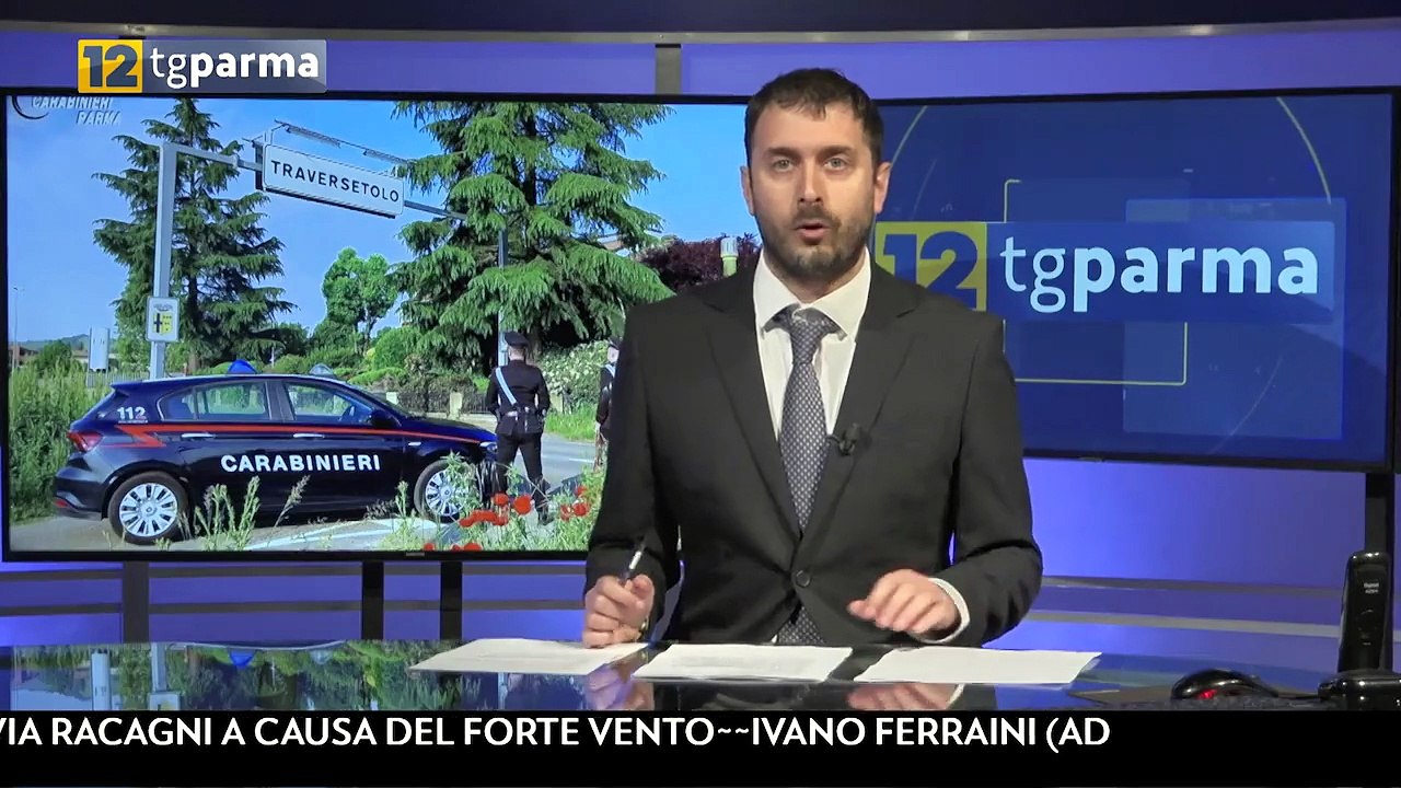 Albero
