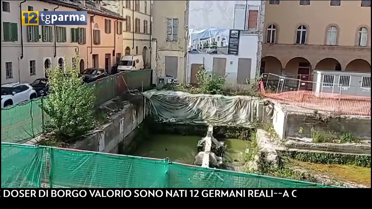 Video Germani