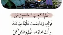 المنشور رقم 13