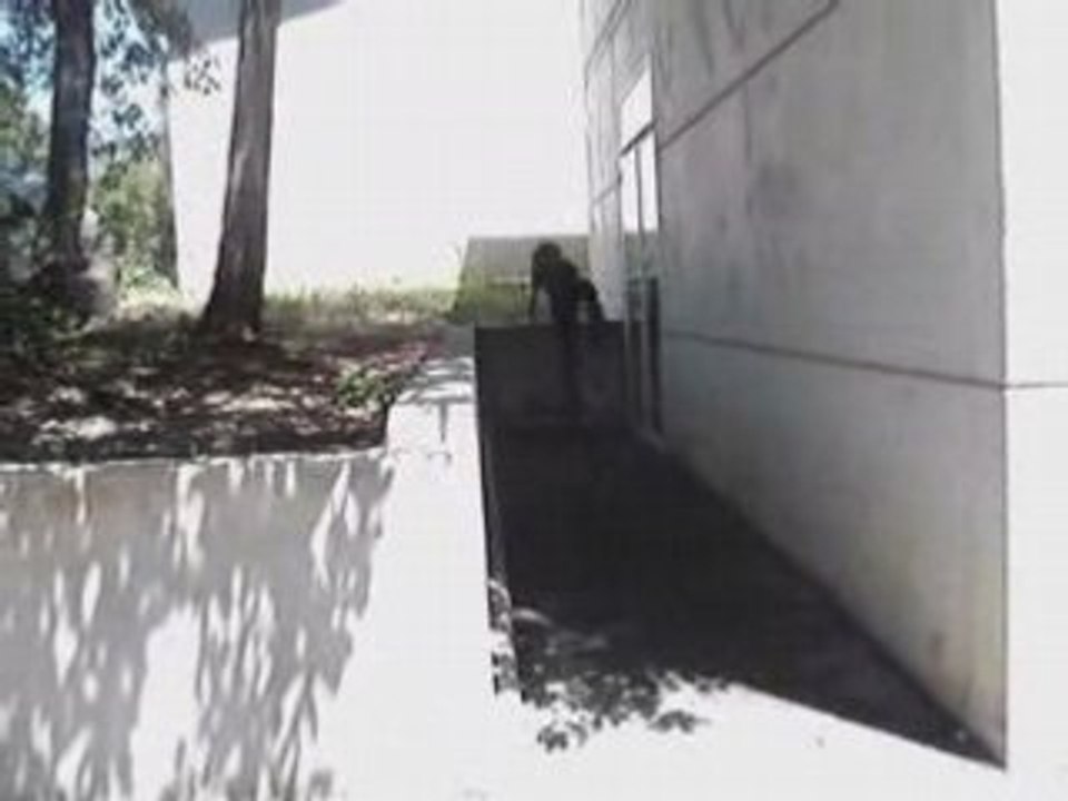 Flw