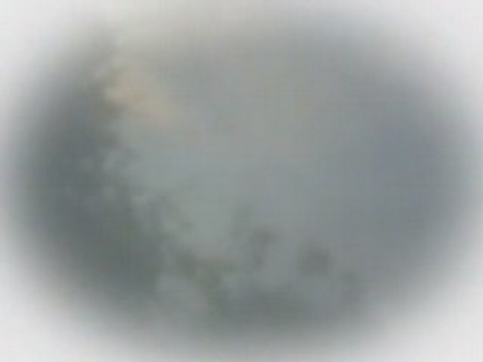 020079