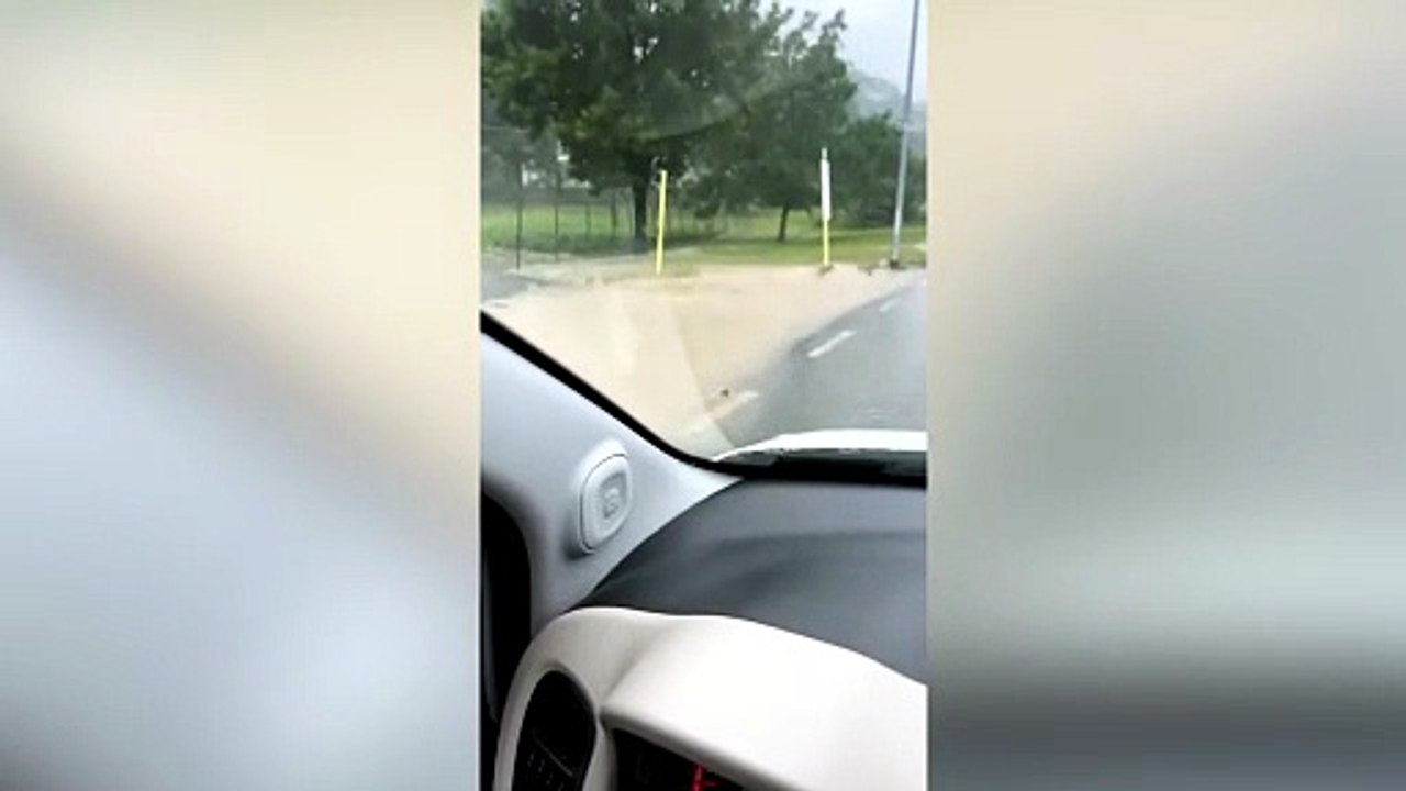 Da Terenzo è Tutto