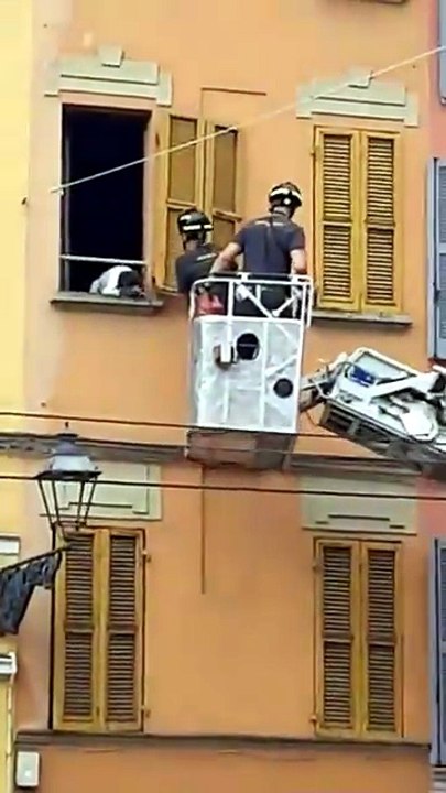 Cane Alla Finestra
