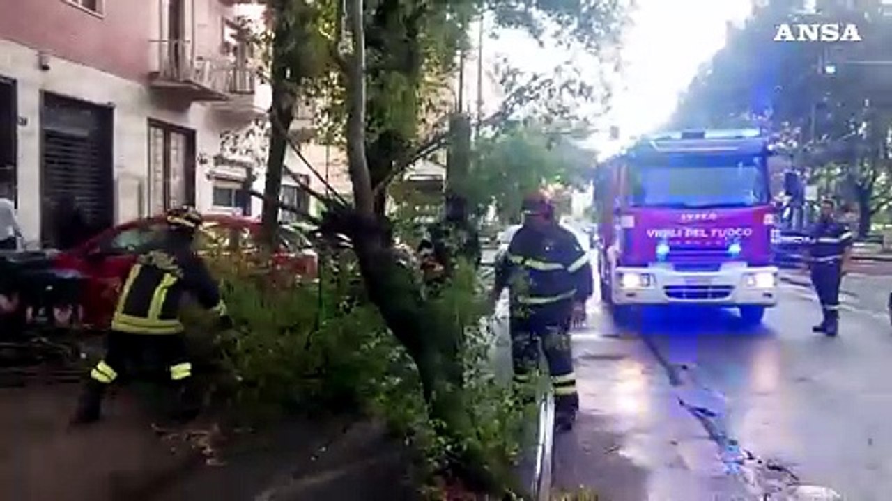 Maltempo a Torino, alberi caduti sulle macchine
