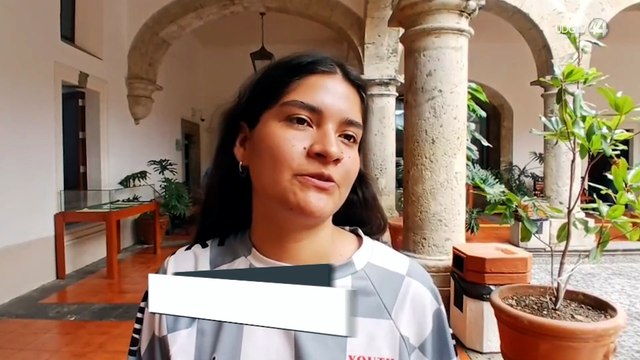 Aprueban en Comisión, incluir la intimidación vial de automovilistas a peatones y a ciclistas