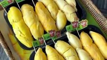 槟城首家华人外卖平台“吃饱饱”上线 榴莲季重磅登场