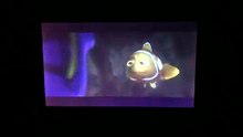 Finding Dory (2016) Marlin Talking To Dory Scene