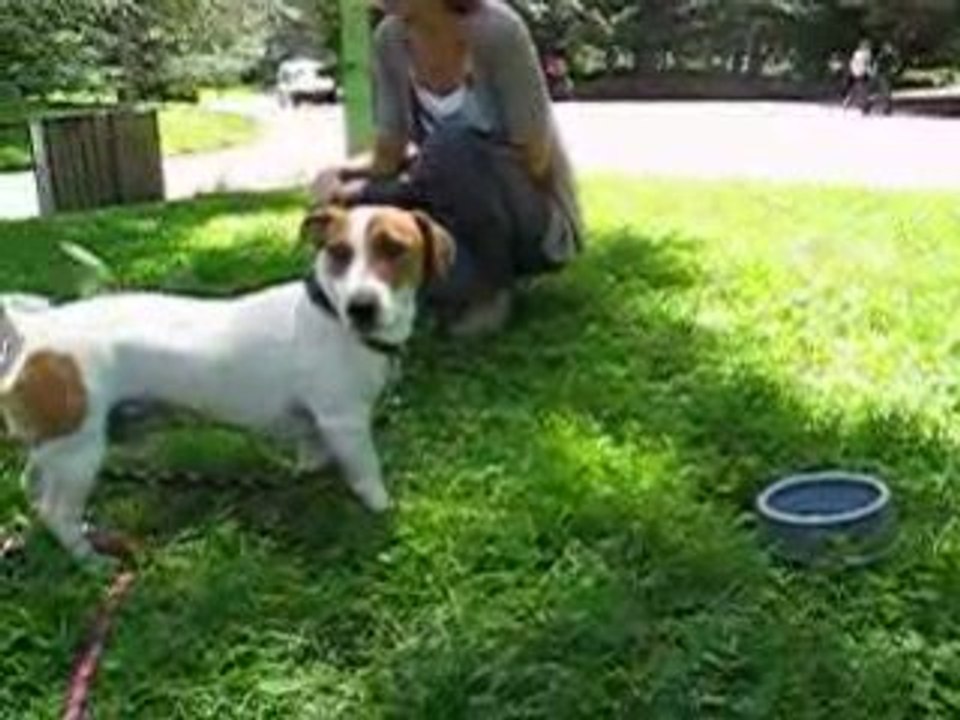 parc de la tête d'or avec la meute!
