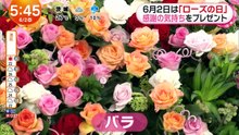 めざましテレビ  動画　2026年06月02日 動画 9tsu 8tsu