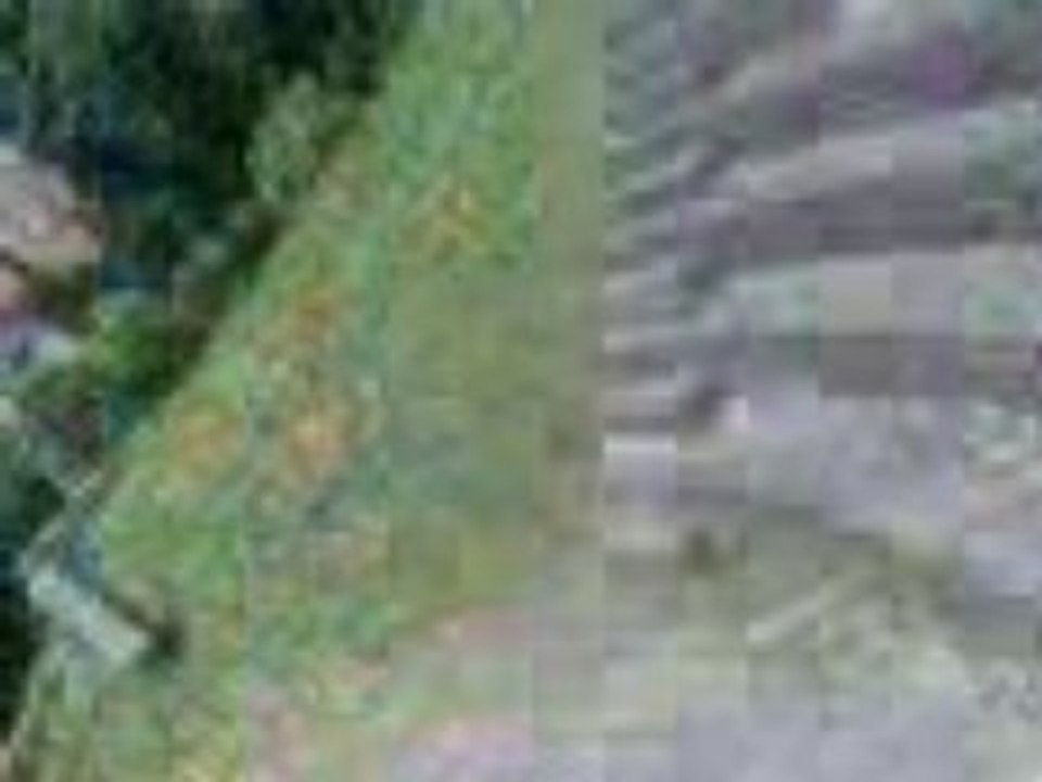 Vidéo007
