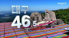 지방선거 투표율 오후 1시 현재 46.0%