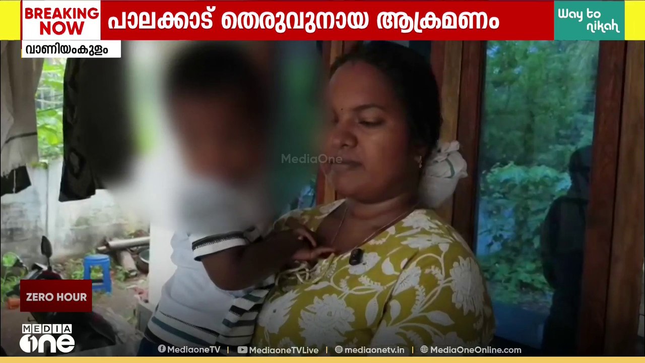 പാലക്കാട് ഒന്നര വയസുകാരന് തെരുവുനായയുടെ കടിയേറ്...