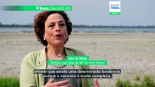 Itália: flamingos invadem lagoa de Veneza graças a projeto de restauro de zonas húmidas da UE