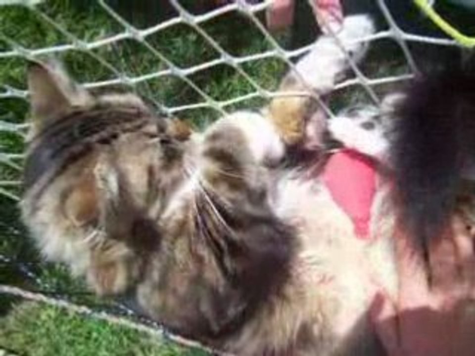 Mon ptit bibi aime le soleil