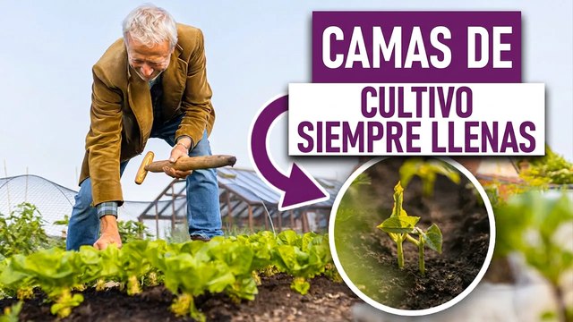 Más opciones y siembra rápida con el método sin cavar
