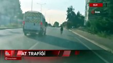 Bursa'da başıboş at ana yolda trafiği tehlikeye attı