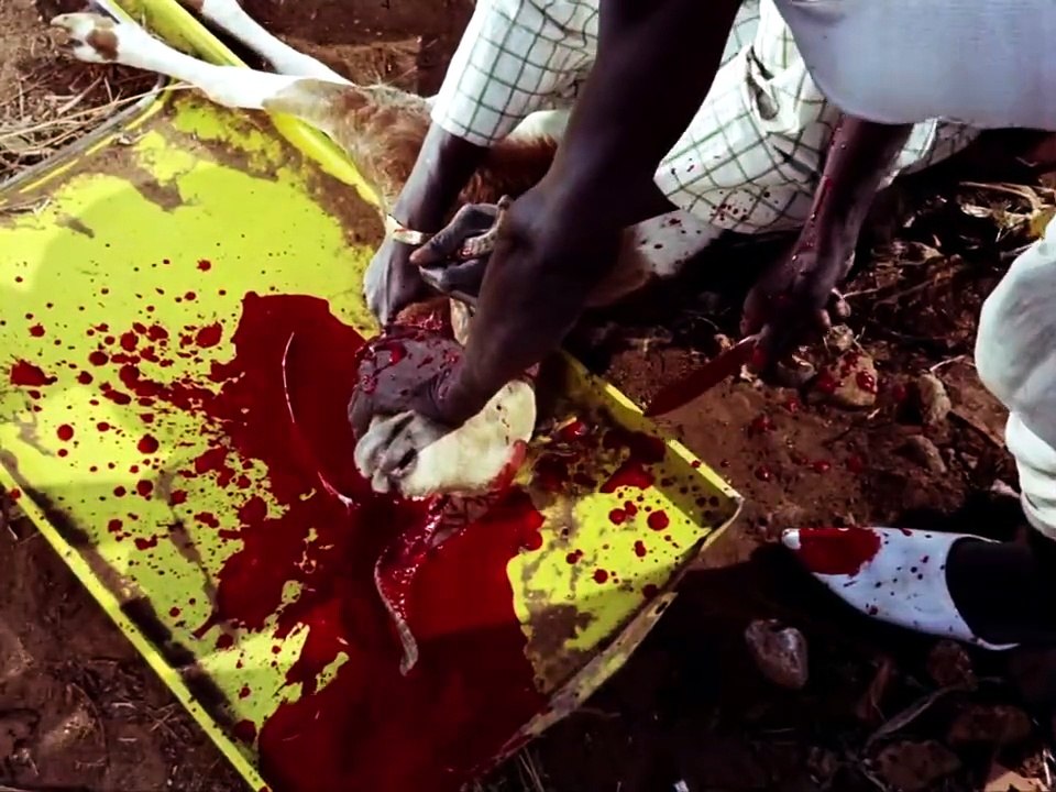Touki Bouki (1973) | Full Classic Drama Movie | Journey of the Hyena | African Art-House Masterpiece