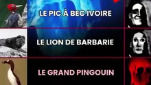 L'iceberg des animaux éteints qui auraient été revus 🧊 PARTIE 1