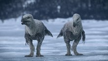 A Closer Look: Oldest Modern Bird Linked to Ancient Antarctica