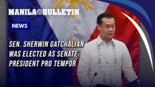 Sen. Sherwin Gatchalian was elected as Senate President Pro Tempore