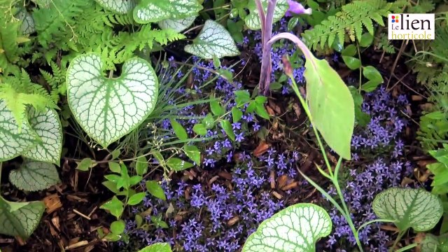 Jardins-jardin : le Prix du Petit Jardin Urbain Unep récompense « L'Échappée aux oiseaux »