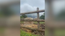 Une mini-tornade observée à Frenois ?