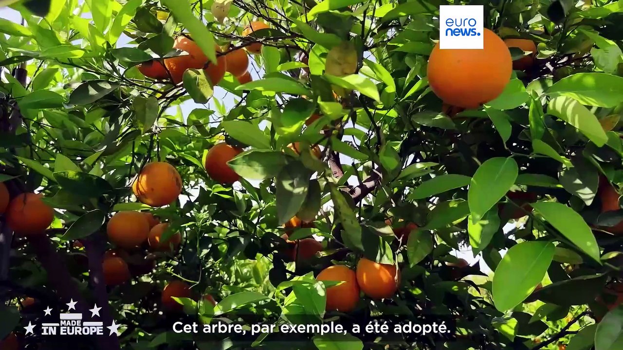 Crowd Farming : la plateforme qui veut mieux nourrir l’Europe