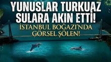 Yunuslar Akın Etti, Boğaz Kartpostallık Görüntülere Sahne Oldu