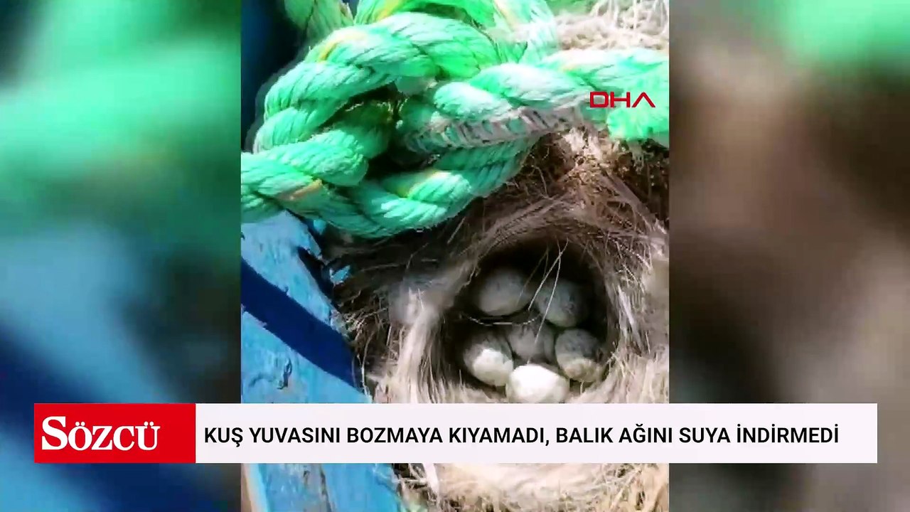Kuş yuvasını bozmaya kıyamadı, balık ağını suya...
