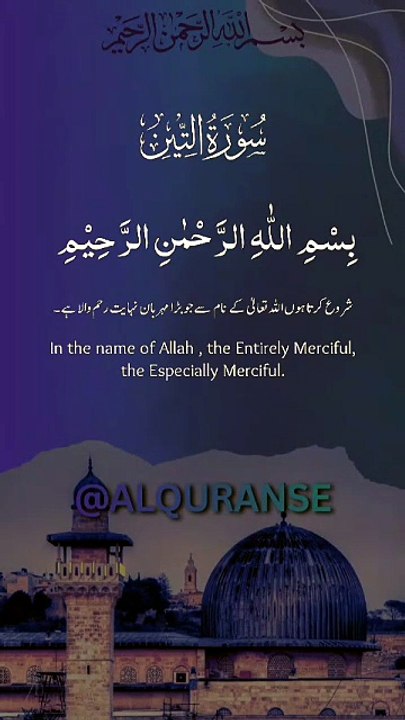⚠️ Phir Insan Sab Se Neeche Kyun Gir Jata Hai? | Surah At-Tin Complete | #alquranse #shorts