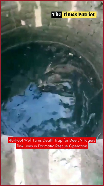 40-Foot Well Turns Death Trap for Deer, Villagers Risk Lives in Dramatic Rescue Operation