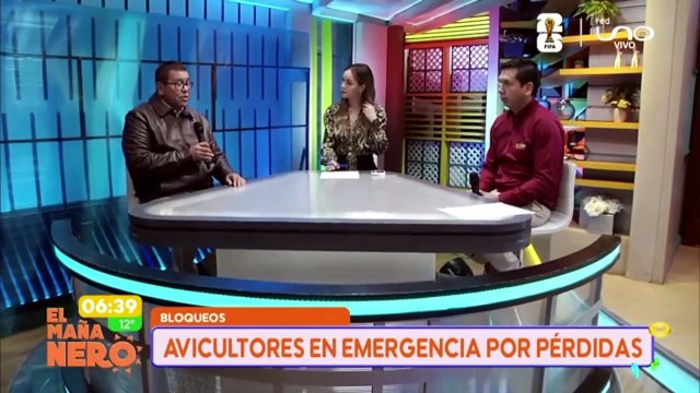 AVICULTORES EN EMERGENCIA POR PÉRDIDAS