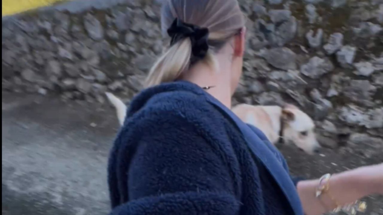 Girl Strokes A Dog And It Unexpectedly Urinates On Her