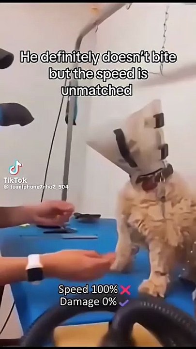 #speed