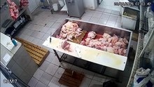 Veneno para ratas en el mate