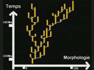 Évolution, Fossiles Transitoires Et Équilibres Ponctués