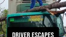 Driver escapes unhurt after tree crashes onto lorry in Telupid landslide