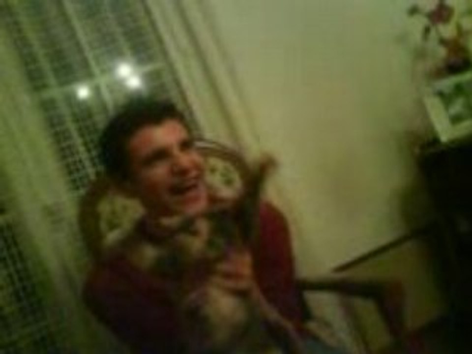Mon pauvre chat