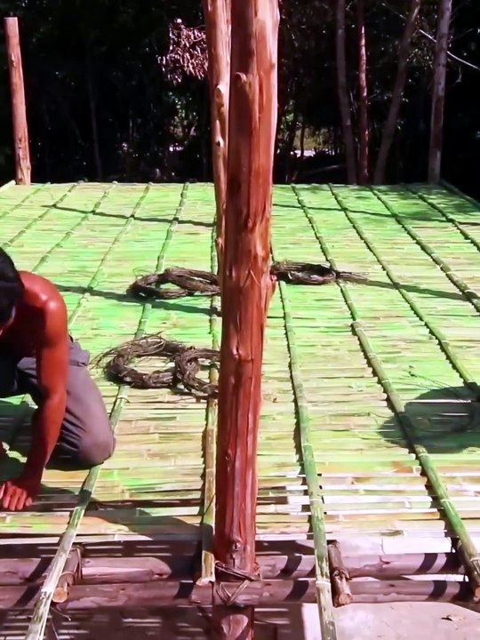 build house with swimming pool in forest