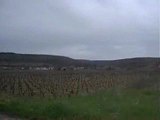 Vignes de Bourgogne