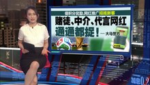 美加墨世界杯6月11日拉开帷幕   博彩业者：全球投注额逾500亿美元