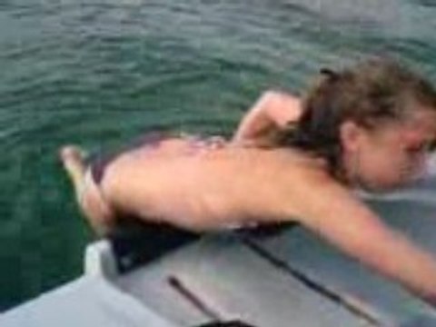 journée a pose pédalo