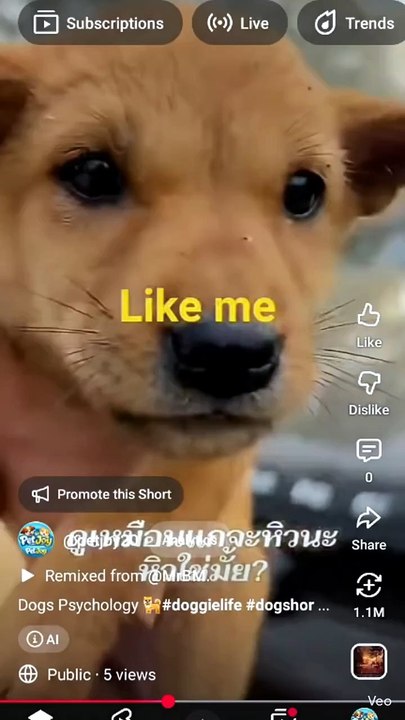 YTShort_02Jun2026_23_12_56