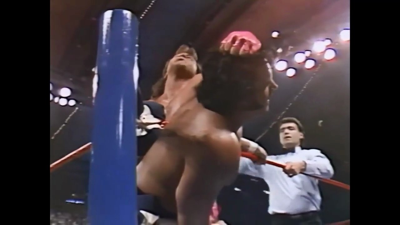 wrestlmania 4 honky tonk man vs Brutus beefcake