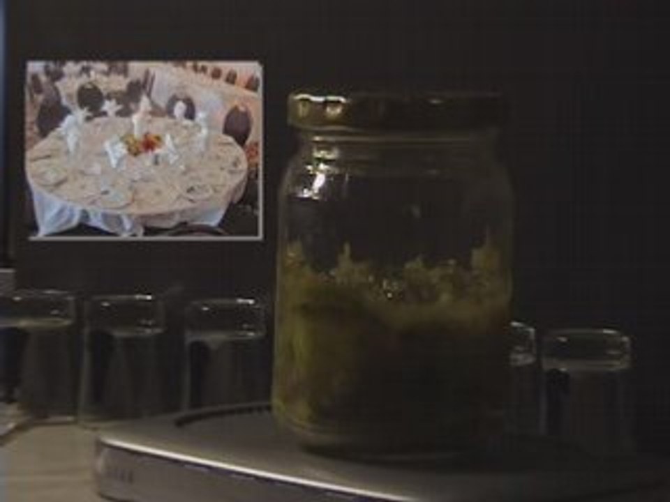 Celebrity Misfortunes: Spread the Word ep. 103