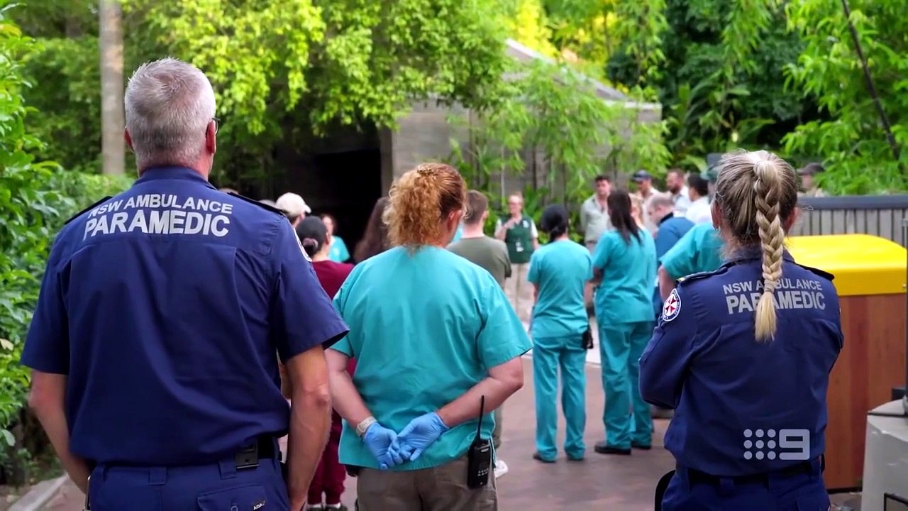 Taronga whos who in the zoo Season 06 Episode 1 Engsub [Full Movie]