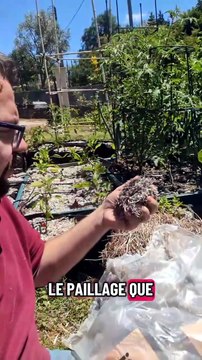 Paillage au chanvre et esthétique du potager #paillage #potager #jardinage #culture #jardin