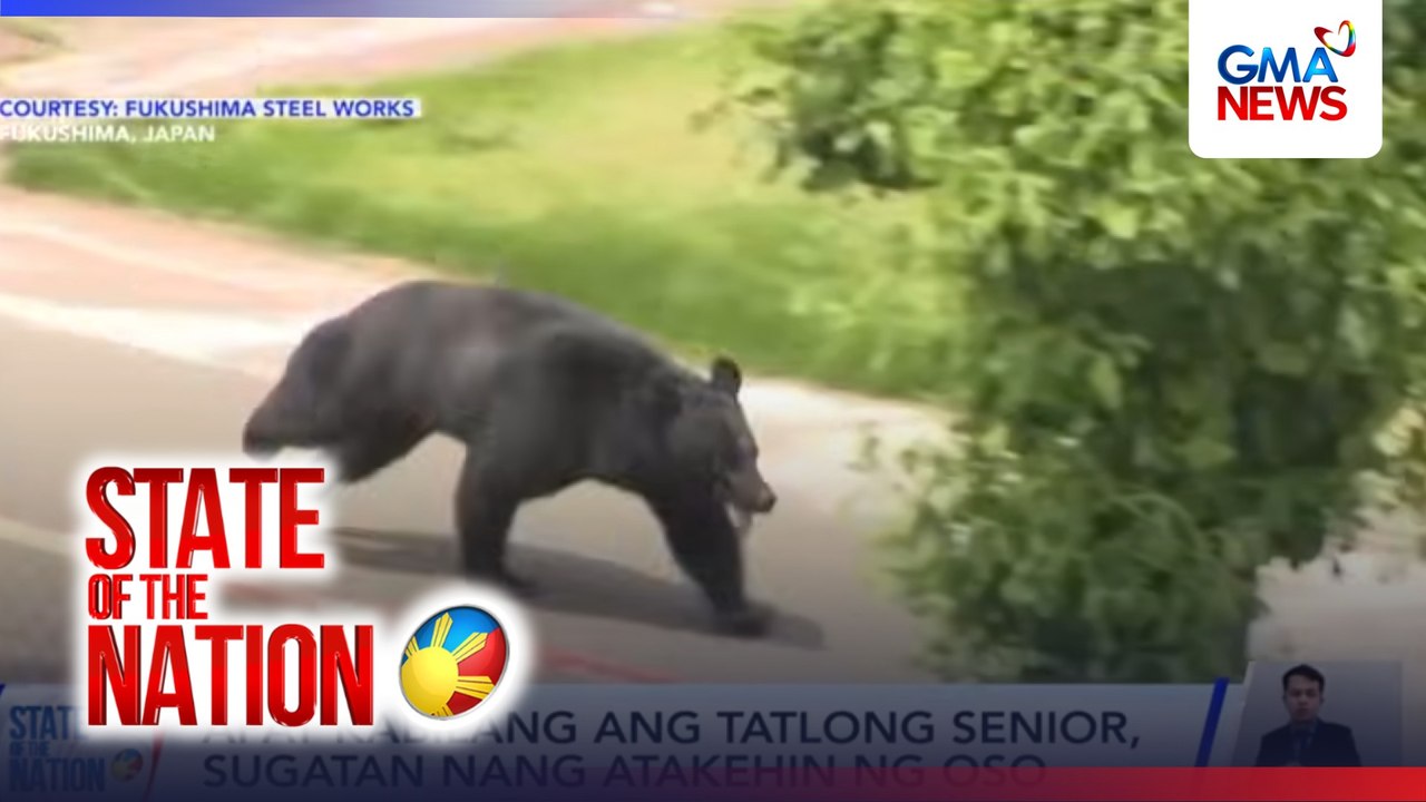 Apat sugatan nang atakehin ng oso | SONA